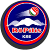 Vendég logo